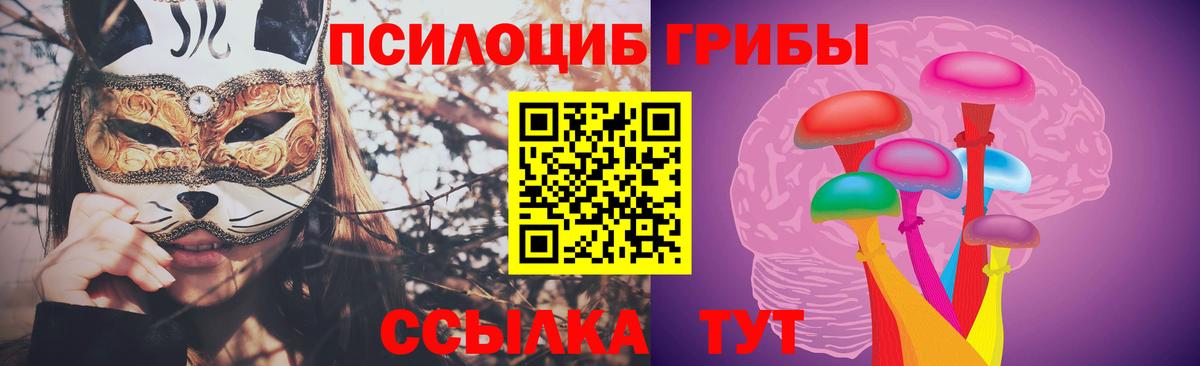 Псилоцибиновые грибы Cubensis Бийск