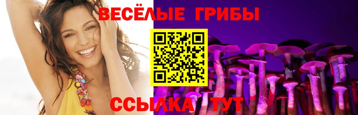 Псилоцибиновые грибы Magic Shrooms  Вход с VPN  Псилоцибиновые грибы Magic Shrooms  Бийск 